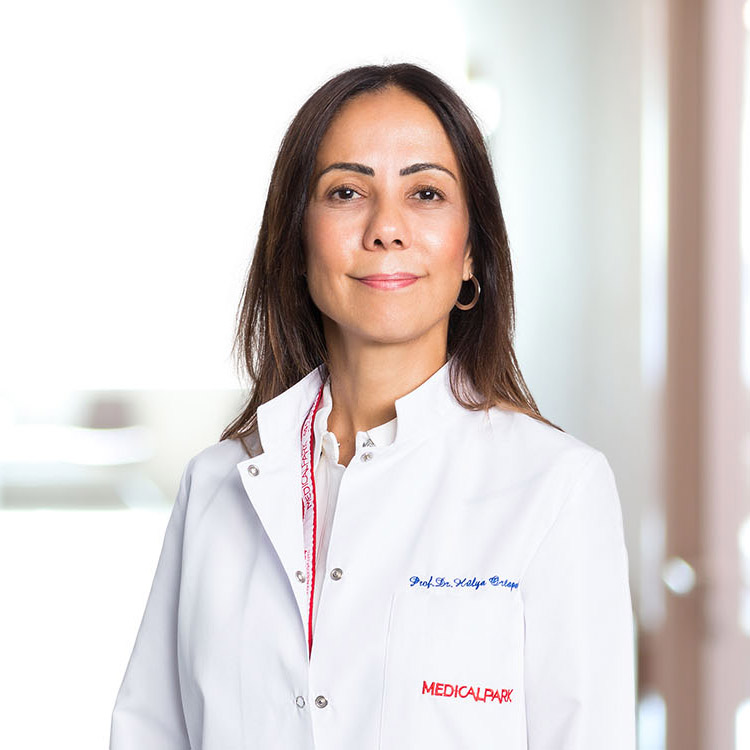 Prof. Dr. Hülya Ortapamuk