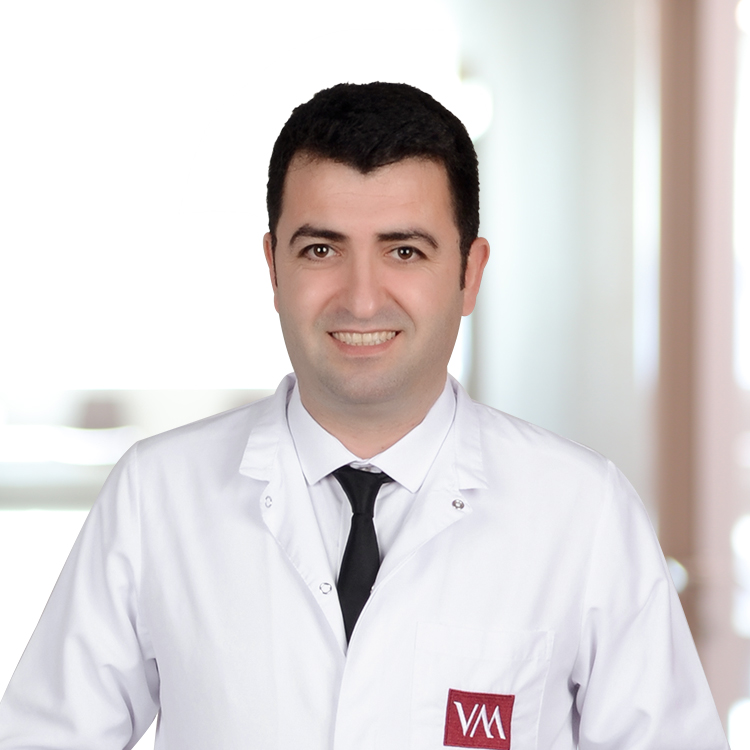 Prof. Dr. Lecturer. Mehmetzeki Yildiz 