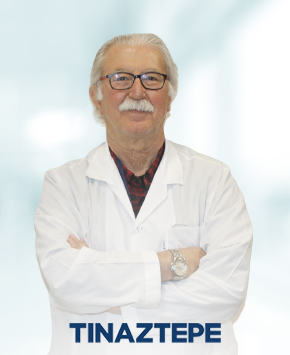 Exp. Dr. İbrahim Hakkı Soylu 