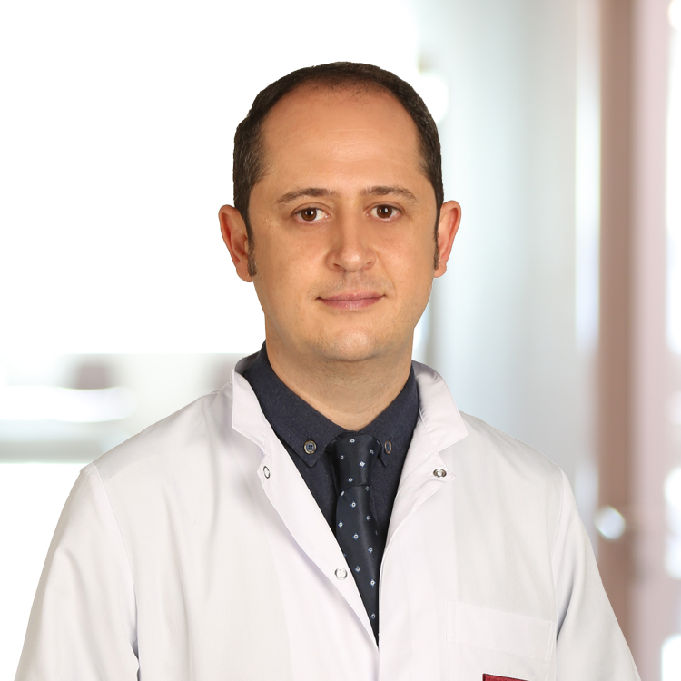Assoc. Prof. Dr. Tümay İpekçi