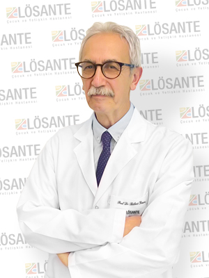 Prof. Dr. Bülent KAYA