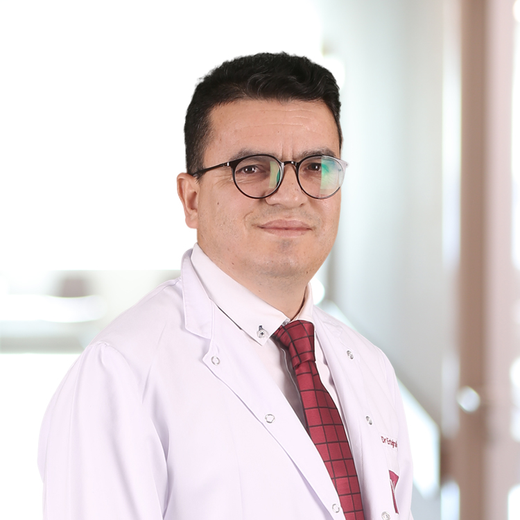 Prof. Dr. Ertuğrul Uzar 