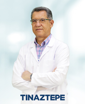 Assoc. Prof. Dr. İsmail Rıfkı Ersoy 