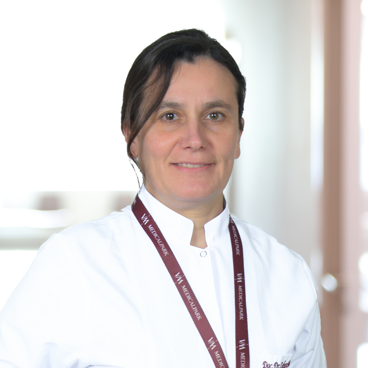 Assoc. Prof. Dr. Zehra Berberoglu