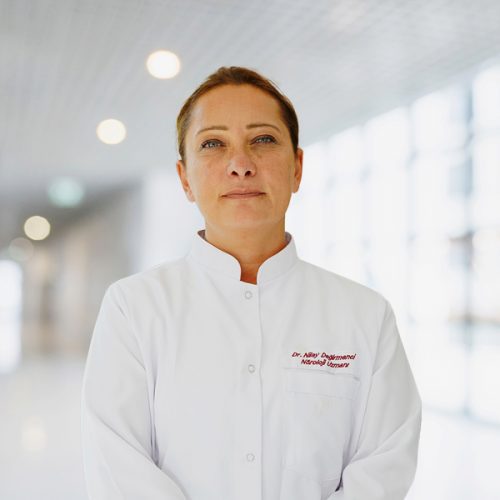 Exp. Dr. Nilay Değirmenci 