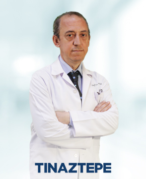 Prof. Dr. Mehmet Yaşar Özkul 