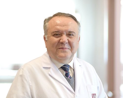 Prof. Dr. Hamdi Tutkun 