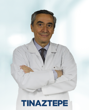 Prof. Dr. Hikmet KOÇYİĞİT 