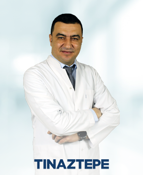Assoc. Prof. Dr. Emrah Akçay 