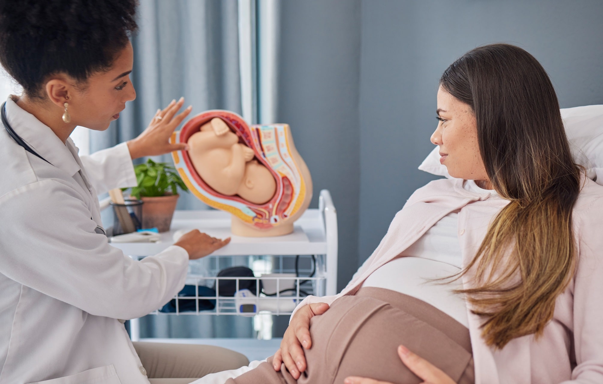 What is a false pregnancy? 