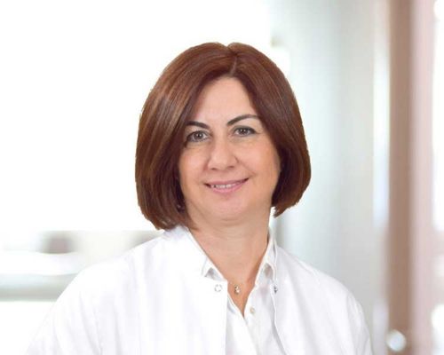 Prof. Dr. Figen Sahin Dagli