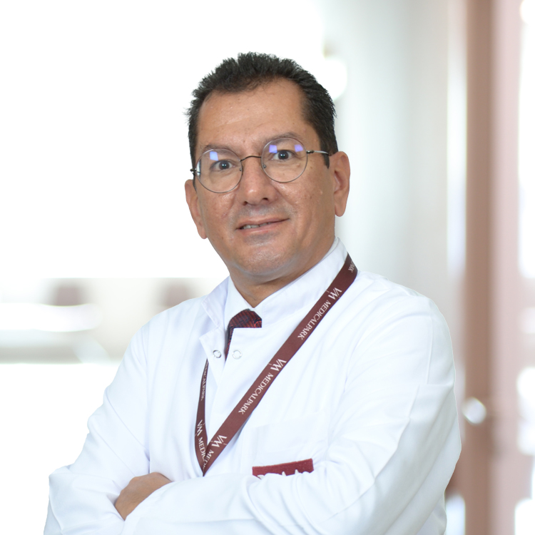 Exp. Dr. Ismail Aslanhan 