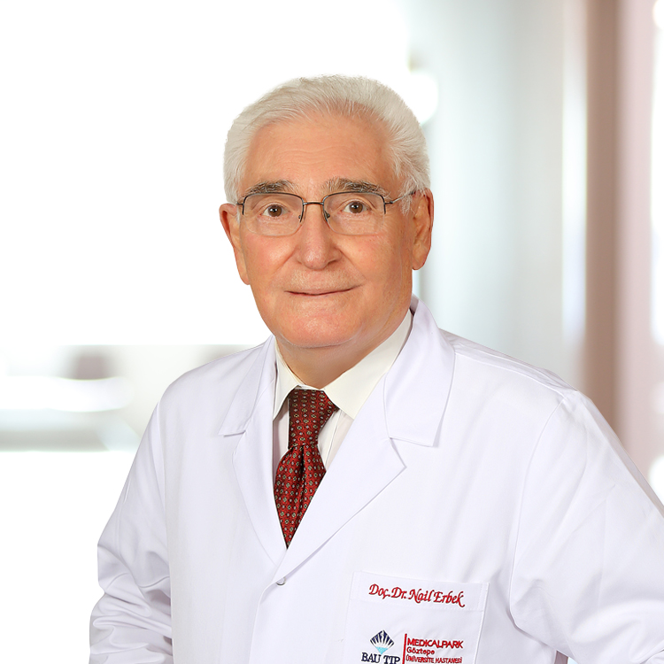 Assoc. Prof. Dr. Nail Erbek 