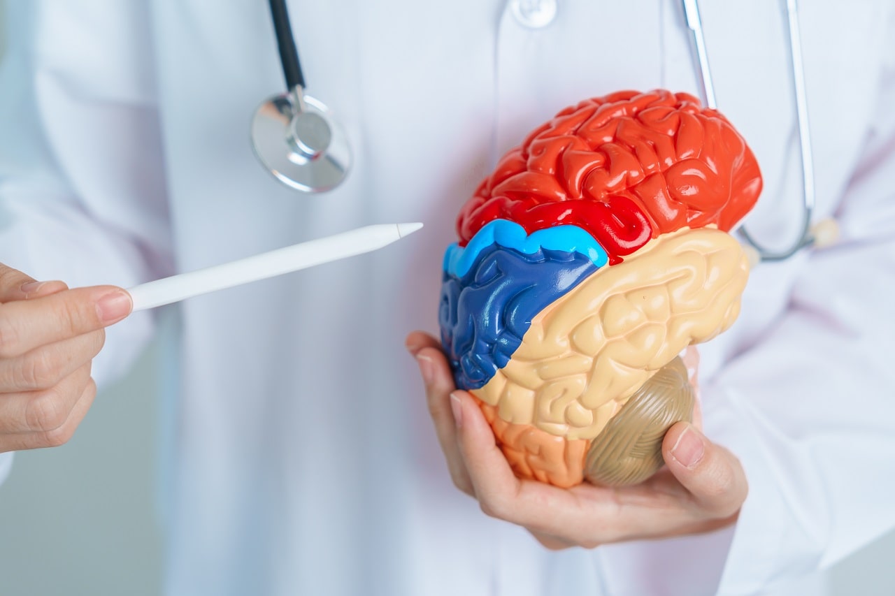 What are the symptoms of a brain tumor? What are the treatment methods?