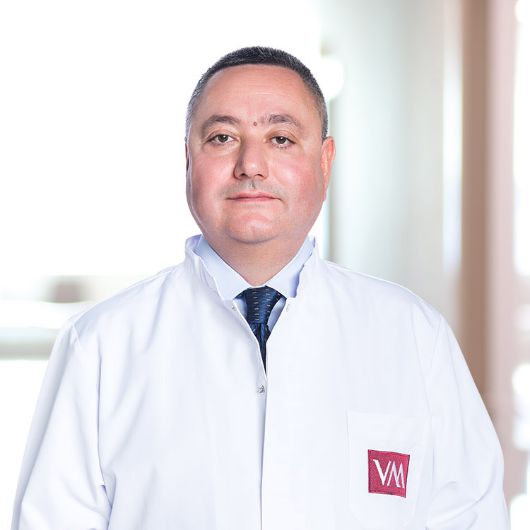 Prof. Dr. Levent Kaptanoglu