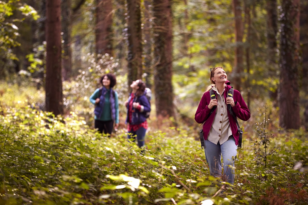 Forest therapy and nature walks in Turkiye