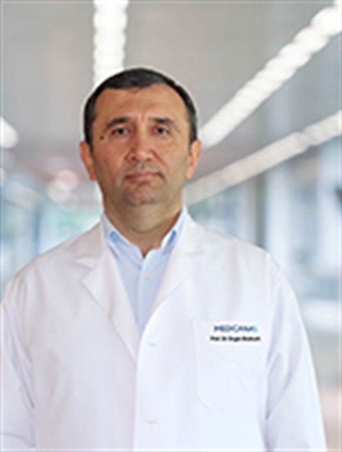 Prof. Dr. Engin Bozkurt