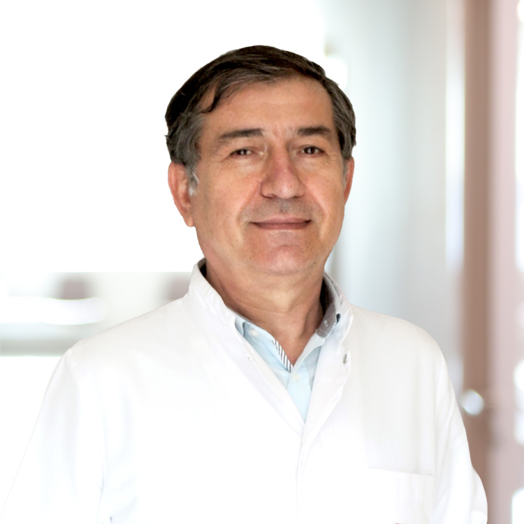 Exp. Dr. Saip Toprak 